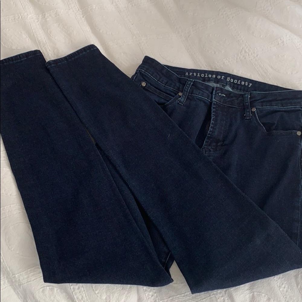 Articles of Society skinny jeans